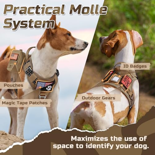 rabbitgoo Tactical Dog Harness Medium Sized Dog, No Pull Military Service Vest with Handle & Molle, Easy Control for Training Walking, Adjustable Reflective Straps, Brown, M - color: Brown, size: Medium