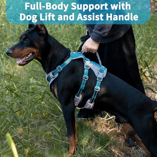Huntboo Reflective Dog Harness with Handle, Escape Proof, No Slip, Breathable, Lightweight, Adjustable Lift Harness for Small, Medium, and Large Dogs Walking, Training, and Running Gear(Teal Blue,M) - color: Teal Blue, size: Medium (Pack of 1)