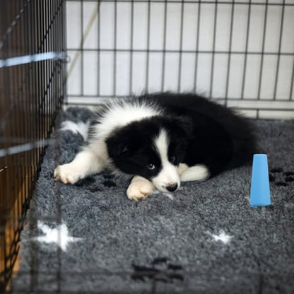 Dog Potty Urine Post for Breeds Convenient Pee Station with Stable Base Indoor Outdoor Training Tool Dog Peeing Column for Cleanliness