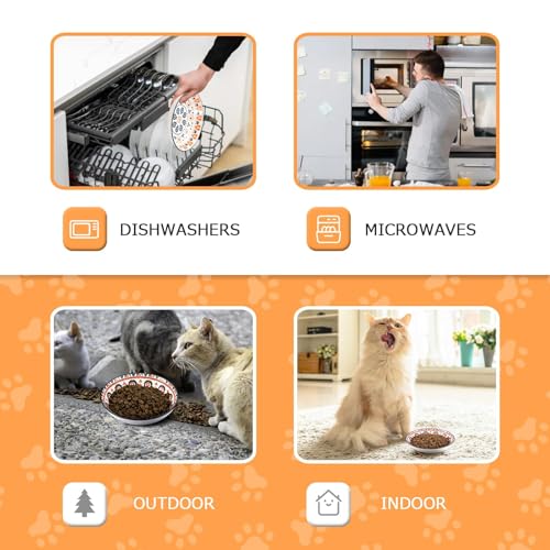 YEAHGO Cat Bowls Ceramic Cat Food Bowl for Indoor Cats and Kittens, 5.5" Anti Whisker Fatigue Cats Dishes, Shallow Wide Plates Cute Pet Feeding Bowls for Food and Water,6 Pack - size: Boho–6 Pack
