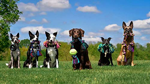 Mammoth Flossy Chews Rope Tug – Premium Cotton-Poly Tug Toy for Dogs – Interactive Rope Toy (Colors May Vary) - size: Medium 20", style: 3 Knot