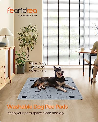 Feandrea Washable Dog Pee Pads, 2 Pack, Reusable Dog Pads, 60 x 48 Inches, XXL, Waterproof Pet Training Pads, Leakproof, Non-Slip, Super Absorbent, Gray UPTD048G01 - size: XXL (60"L x 48"W)