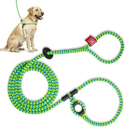 Harness Lead No Pull Dog Harness and Leash Set, Anti Pull Dog Harness, One-Piece Cushioned Rope Safely Prevents Escaping and Pulling (Medium/Large, Peacock/Blue/Lime) - color: Peacock (Blue/Lime)