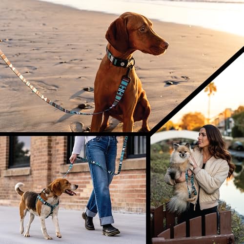 Wolfgang Heavy Duty, Adjustable Dog Collar with Quick Release Nylon Buckle for Walking & Training, WesternSky Print, Small - color: WesternSky Print, size: Small (5/8 Inch x 8-12 Inch)