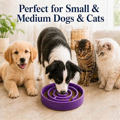 Ceramic Slow Feeder Dog Bowls with Anti-Slip, Slow Feeder & Non-Slip Design, Boredom and Anxiety Reducer, Suitable for All Breed Dogs and Cat (Ceramic-Purple) - color: Ceramic-Purple