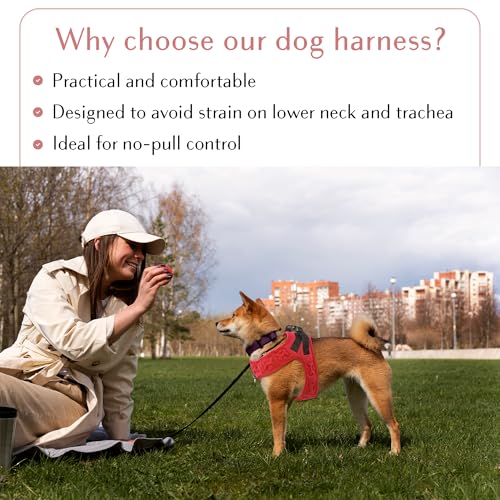 No Pull Dog Harness for Small, Medium & Large Dogs – Soft Padded, Adjustable Step-in Pet Vest with Leash Clips, Reflective Straps & Control Handle - color: Red, size: XS (Chest 13"-14.5")