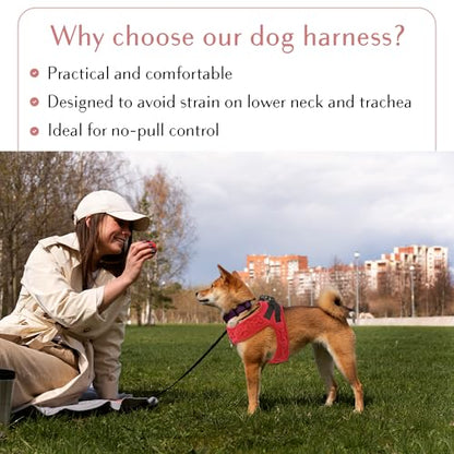 No Pull Dog Harness for Small, Medium & Large Dogs – Soft Padded, Adjustable Step-in Pet Vest with Leash Clips, Reflective Straps & Control Handle - color: Red, size: XS (Chest 13"-14.5")