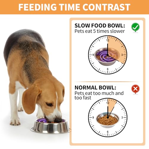 Slow Feeder Dog Bowls Insert, Bestalk Soft Silicone Slow Eating Feeder Insert with Suction Cups for Small, Medium and Large Dogs, Fit into Basic and Elevated Bowls - color: Purple, size: M