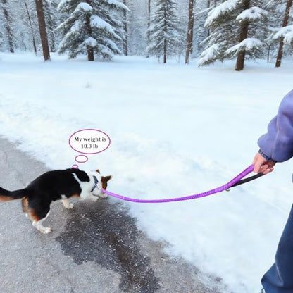 WYuZe 4-5.5 FT Bungee Dog Leash, Reflective Shock Absorbing Elastic Nylon Leash with Comfortable Handle, for Strong Puppy/Medium Dogs Anti-Pull Training Walking (Purple, 3/4"-Wide) - color: Purple