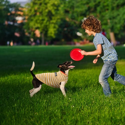MIHACHI Dog Shirts Cotton Striped T-Shirt, Summer Pet Clothes for Small Dogs, 2-Pack Soft Puppy Apparel Cat Tee, Sleeveless Lightweight, Quick Dry, Breathable,Stretchy, Blue Yellow S - color: Green & Yellow, size: Small