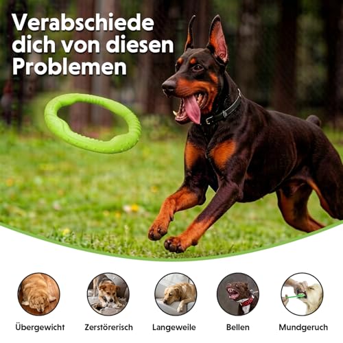 LaRoo Dog Flying Ring Toys, Floating Flying Disc ABS Durable Interactive Chew Toys for Training Outdoor Playing Puppy Medium Large Dogs (Small Green/18cm) - color: Green-S