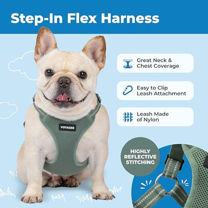 Best Pet Supplies Voyager Adjustable Step-in Flex Breathable Mesh Dog Harness for Small Medium Large Dogs (Moss Green), M - color: Harness (Moss Green), size: M