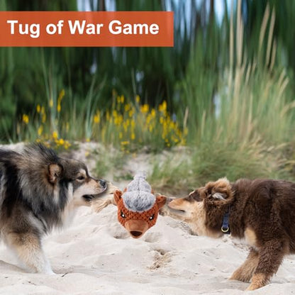 Letsmeet Dog Toys - Squeaky Interactive Plush Dog Toy with Rope, Chew Toy for Large Dogs, Small Dogs & Puppies - Tug of War Dog Toy for Aggressive Chewers, Pet Toys for Dogs - color: brown4