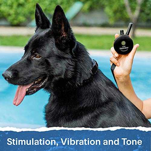 Educator ET-300 Black Mini E Collar for Dog Training with Remote - 1/2 Mile Range, Waterproof, 100 Blunt Stimulation Levels, Tone or Vibration Mode, Night Light Tracking for Small, Medium & Large Dogs - size: 1-Dog (ET-300 Black)