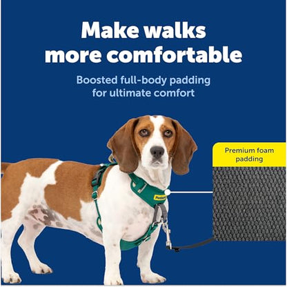 PetSafe Easy Walk Comfort No-Pull Dog Harness Full-Body Padding - Better Walks on the First Use - 5 Points of Adjustment Small, Green - color: Green, size: Small