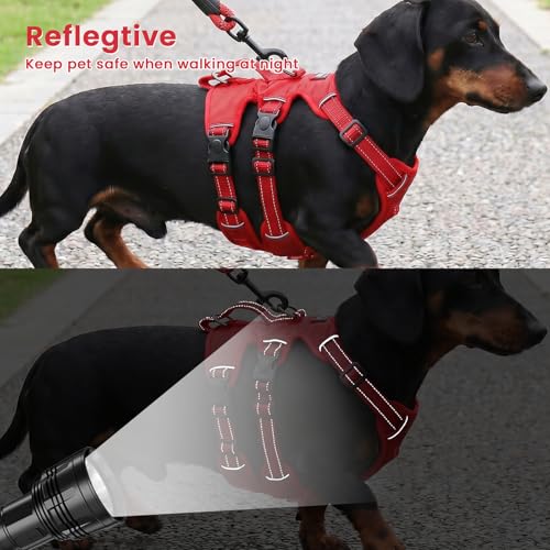 Escape Proof Dog Harness and Leash Set,Soft Padded Full Body Pet Harness, No Pull Reflective Adjustable Dog Vest with Handle, Easy Control Dog Harness for Medium Large Dogs Training Walking Running - color: Red, size: M
