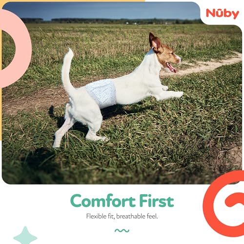 Nuby Pets Disposable Male Dog Wraps with Wetness Indicator, Absorbent & Leak-Resistant Belly Bands for Male Dogs, Medium (18–25” Waist), 50 Count - size: M Waist 18 - 25 in