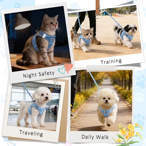 Gyuzh Dog Harness and Leash Set for Puppies - 3 Pieces Step in No Pull Vest & Collar, Extra Small Kitten Harness, Breathable Reflective Plaid, Padded Leash (Blue, S) - color: Blue, size: S