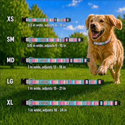 THE WORTHY DOG Spring Holiday Fiesta Stripe Dog Collar – Durable Nylon, Woven Ribbon, Quick-Release Buckle, Nickel D-Ring – Teal, Small - color: Fiesta Stripe - Teal, size: Small