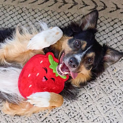 Outward Hound Tough Skinz Durable Squeaky Dog Toy with Two Tough Layers, Strawberry, Red, Medium - color: Strawberry, size: Medium