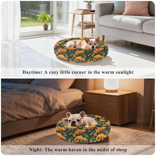 Calming Donut Dog Bed Chameleons Orange Design, 22" Washable Pet Lounger with Removable Cover, Cozy Cushion Comfort Nest for Medium Dogs - size: Medium