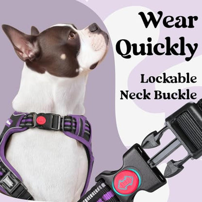 rabbitgoo Dog Harness Small Sized, No Pull Easy On & Off with 3 Buckles Pet Harness, Adjustable Soft Walking Vest with 2 Clips and Handle, Reflective for Small Dogs, Black & Purple, S - color: Black & Purple, size: Small