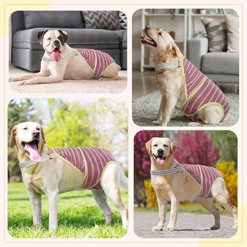 Dog Diapers Female,Female Dog Diapers for Heat Large Dogs, Washable Onesie Sanitary Pantie with Adjustable Suspender Washable, Reusable Period Panties Doggie Diaper, L - color: Purple, size: Large