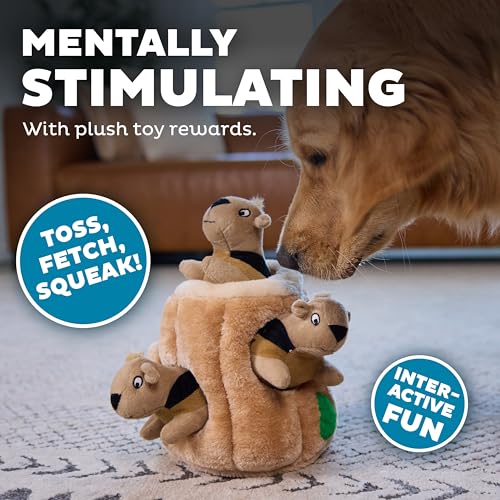 Outward Hound Hide-A-Squirrel Dog Toy – Interactive 2‑in‑1 Plush Puzzle with 3 Squeaky Removable Squirrels, Large - color: Squirrel Large