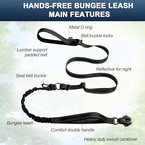 Heavy Duty Hands Free Dog Leash with Quick Release Carabiner and Adjustable No Pull Bungee Dog Running Waist Leash，for Walking and Training with Car Seat Belt 4-6FT (Black) - color: Black