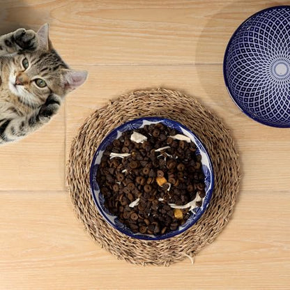 Selamica 세라믹 고양이 그릇, 14cm(5.6인치) 너비의 얕은 고양이 사료 그릇, 음식과 물용, 수염 친화적, 6개 세트, 빈티지 블루 - color: 빈티지 블루, size: 5.6 Inch, Set of 6