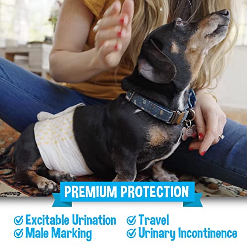Bodhi Dog Disposable Male Dog Diapers - Super Absorbent, Leak-Proof Pee Wraps - Adjustable Fit, Comfortable Design, Advanced Moisture Control, and Wetness Indicator - Small (20 Count) - size: Small