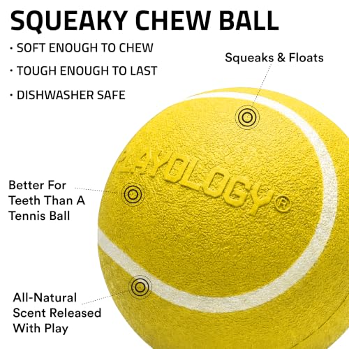 Playology Dog Toys | Squeaky Chew Ball for Dogs | Chicken Scented Medium Dog Ball | Bouncy Floating Chew Toys for Fetch - size: Medium, style: Chicken