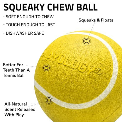 Playology Dog Toys | Squeaky Chew Ball for Large Dogs | Chicken Scented Jumbo Dog Ball | Bouncy Floating Chew Toys for Fetch - size: Jumbo, style: Chicken