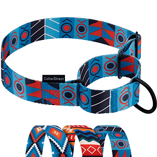 CollarDirect Martingale Dog Collar Heavy Duty Nylon Slip Collars for Small Medium Large Dogs [Nylon, Patterned, Blue Ethnic, XL, 19"-24"] - color: Blue Ethnic, size: X-Large (Neck Size 19"-24")