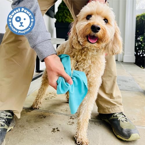 Portable Dog Paw Towel, Lightweight & Super Absorbent Microfiber, Clips onto Leash, Quick Drying Towel for Dogs Paws with Silicone Case, Dry Dog’s Paws on The Go - Small - Rosy Glow - color: Rosy Glow (Small)