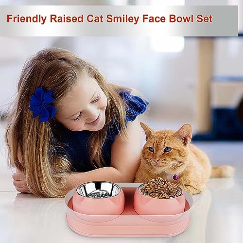 Elevated Cat Food Bowls, Raised Cat Bowl with Stand Stainless Steel, Tilted Bowls Anti Vomiting, Double Cats Food and Water Bowl Set for Cats (Pink) - color: Pink