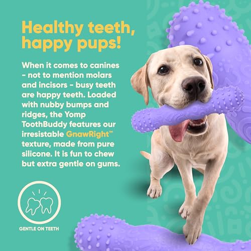 Yomp ToothBuddy Dog Dental Chew Toy – Teething and Chewing Toy for Puppies and Teething Dogs – Pet-Safe, Non-Toxic Silicone Dog Bone