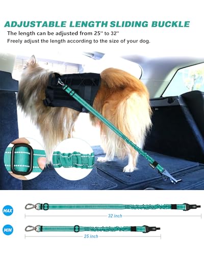 AUBELL Dog Seat Belt for Car,Updated 3-in-1 Adjustable Reflective Bungee Heavy Duty Dog Car Harness Tether with Clip Hook Latch & Buckle,Swivel Zinc Alloy Carabiner,Teal - color: Teal