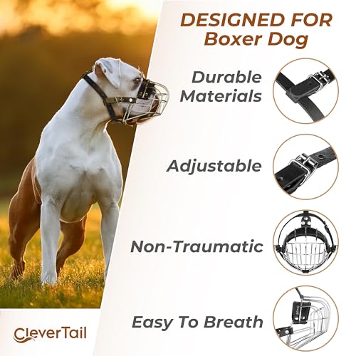 Metal Muzzle for Boxer Dog Breed – Bite Proof Boxer Muzzle for Medium and Large Sized Dogs – Steel Wire Basket Muzzles for Dogs English Bulldog, American Bulldog etc. - size: Medium