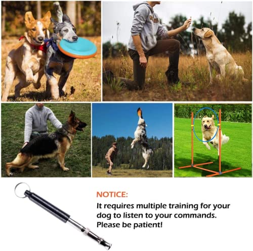 Agility Training Set for Dogs - Affordable Training Kit Dog Jump Training Obstacle Course Starter Kit Pet Outdoor Games with Tunnel, Dog Flying Disc, Weave Poles, Jump Ring, Carrying Bag