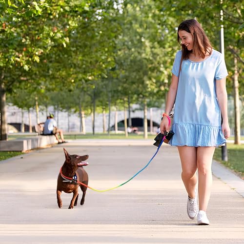 FOVRLZSE 3-Pack Adjustable Rainbow Dog Slip Leads Multi-Color, 5FT Reflective Nylon – No Collar Needed, No-Pull, Ideal for Small/Medium Dogs (Training/Walking) - color: Rainbow