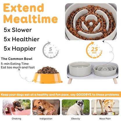 Elevated Slow Feeder Dog Bowls - Ceramic Food and Water Bowl Set with Stand - Raised Pet Dishes for Small and Medium Sized Dogs - color: Grey