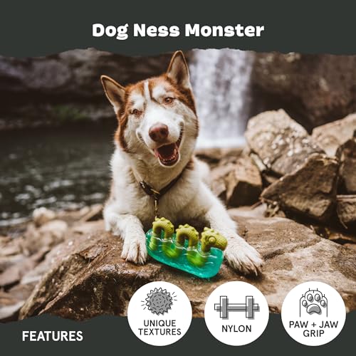 Barkbox Dogness Monster Super Chewer Dog Chew Toy - Tough Dental Stimulating Toy for Aggressive Chewers | Large - color: Dog Ness Monster - Large, size: Medium/Large