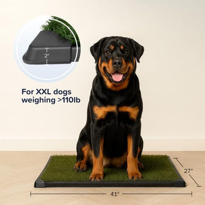 Artificial Grass Puppy Pee Pad for Dogs and Small Pets - 41X27 Inch, Reusable 4-Layer Turf Pads for Dogs with Tray - Indoor and Outdoor Fake Grass Potty Pet Supplies by PETMAKER - size: XXL 4-Layer System