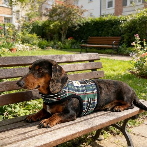 Dachshund Harness no Armpit rub, Christmas Plaid Escape Proof Doxie Harness, Adjustable Step in Dog Harness for mini & Standard Dachshund (Green, XS: Chest 10"-12"/25-31cm) - color: Green, size: XS:Chest 10"-12"/25-31cm