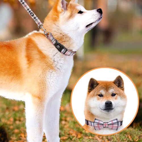 IVY&LANE Dog Collar with Bowtie and Leash Set | Plaid Adjustable Dog Collar | Detachable Bow Tie |5 FT Dog Leash | for Small Medium Large Dogs | Checkered Beige | Small - color: Checkered Beige, size: S