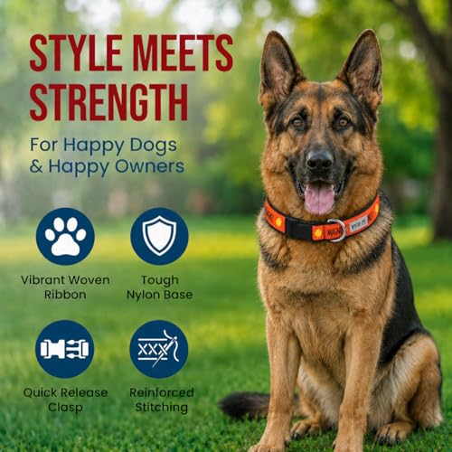 THE WORTHY DOG Spring Holiday Chick Magnet Dog Collar – Durable Nylon, Woven Ribbon, Quick-Release Buckle, Nickel D-Ring – Red, X-Large - color: Chick Magnet - Red, size: X Large
