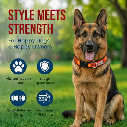 THE WORTHY DOG Spring Holiday Chick Magnet Dog Collar – Durable Nylon, Woven Ribbon, Quick-Release Buckle, Nickel D-Ring – Red, X-Large - color: Chick Magnet - Red, size: X Large