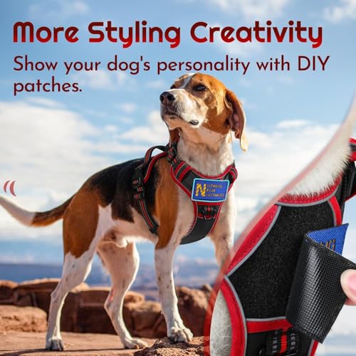 Eagloo Dog Harness Small Sized, Easy Wearing with 3 Buckles, Adjustable No Pull Pet Harness with 2 Rings for Walking, No Chock Reflective Soft Padded Vest with Control Handle, Black & Red, S - color: Black & Red, size: Small