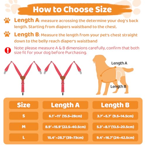 2Pcs Premium Dog Suspenders for Diapers, Belly Bands, Dog Apparel, Adjustable Elastic, Size avaiable for Small Medium and Large Dogs (Watermelon Pink S) - size: Small (Back length 6.1"-11")